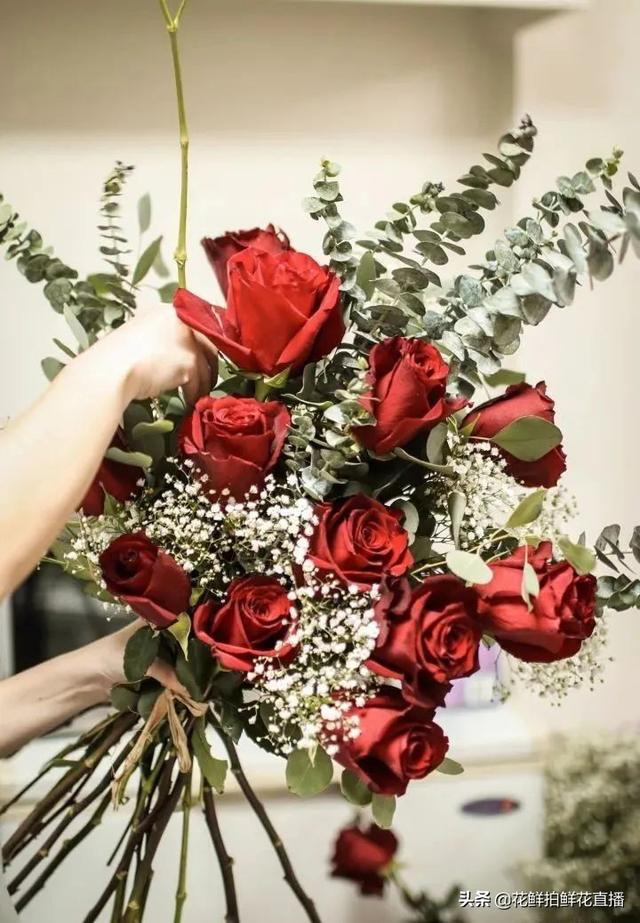 玫瑰花的寓意，玫瑰日常养护打理技巧（黄玫瑰花语象征与寓意）