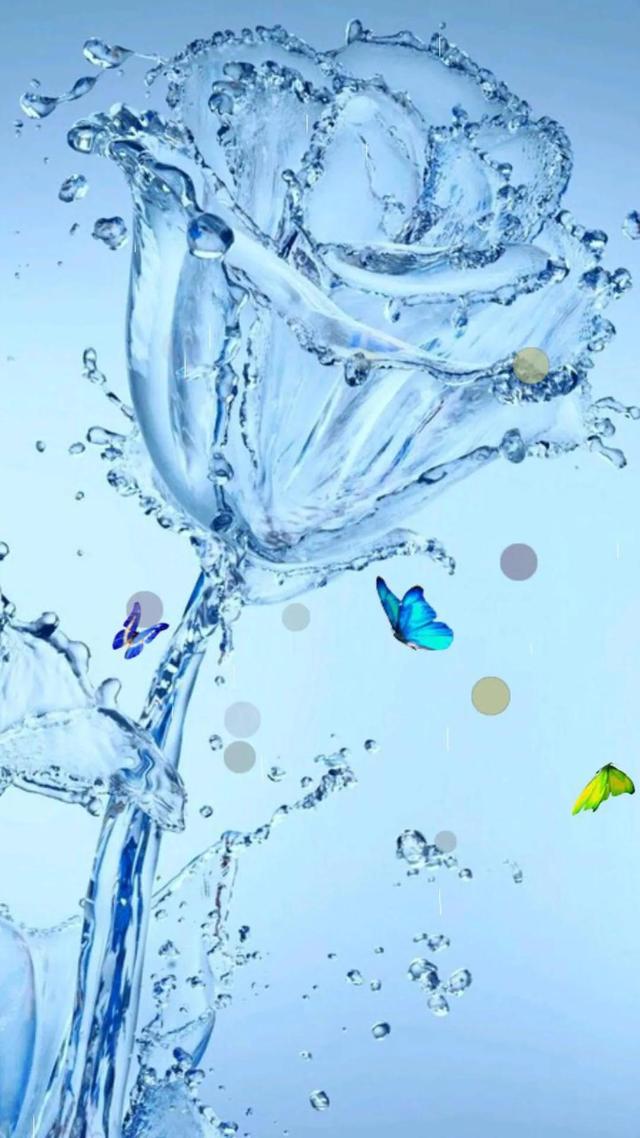 唯美图片‖玫瑰花.,玫瑰花图片大全(唯美玫瑰花手机壁纸)