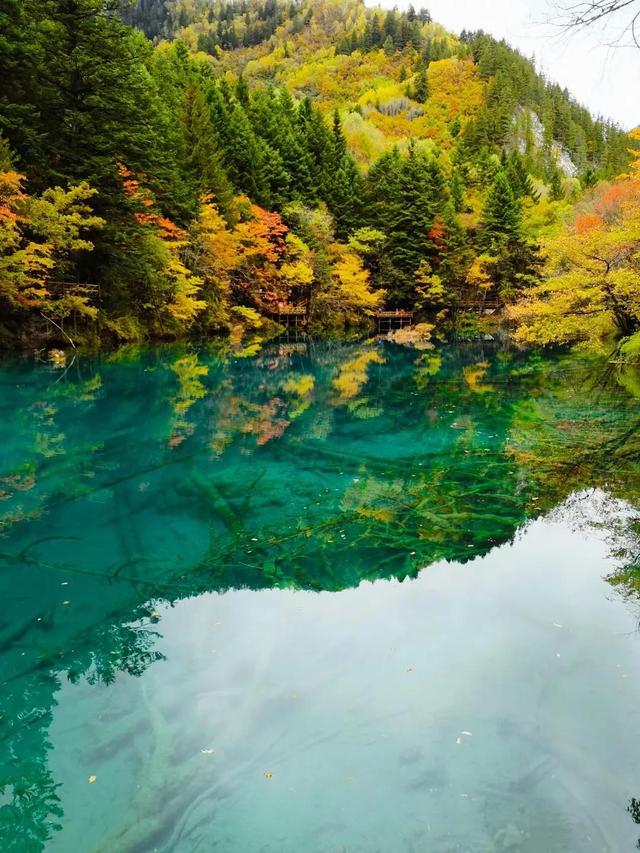 四川九寨沟简介，四川九寨沟介绍（四川九寨沟）