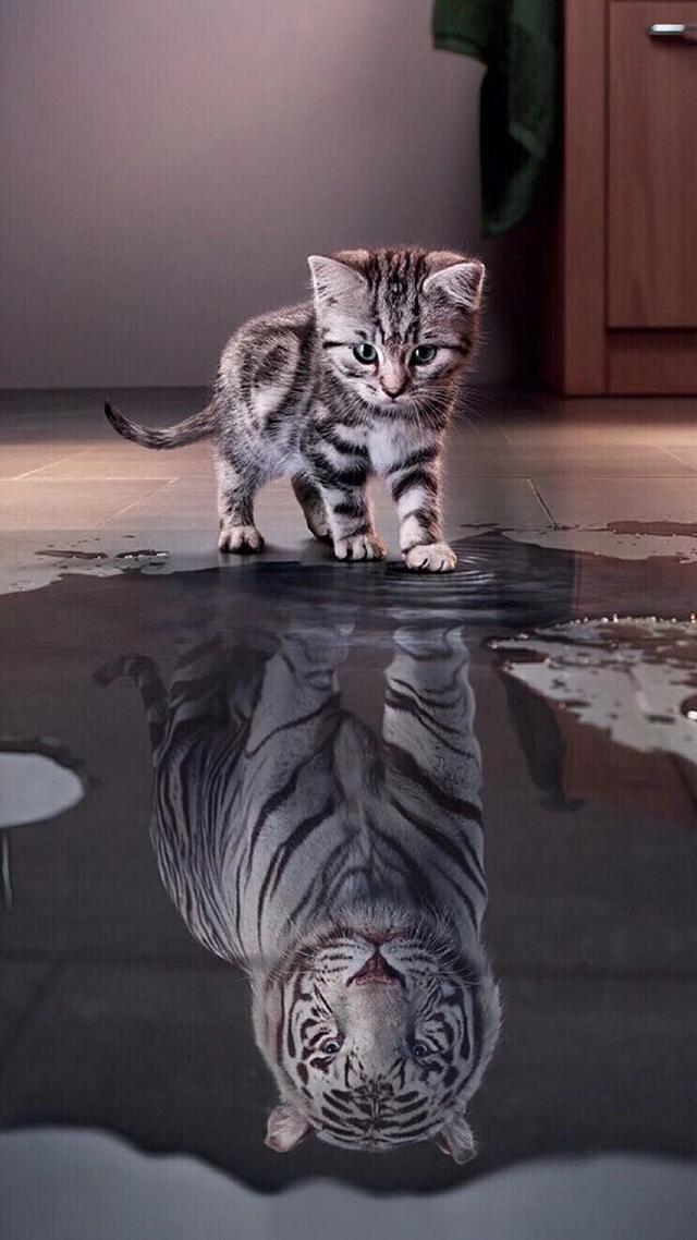 叶良辰是什么梗，叶良辰是什么梗赵日天现在怎么样了（“2021年度十大网络用语”出台）