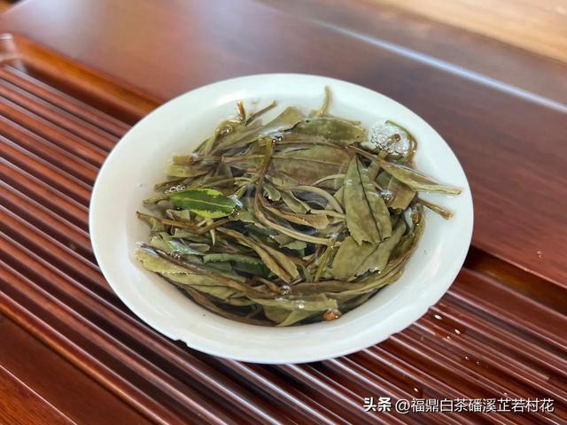 福鼎白茶产区磻溪，带你了解白茶优质产区，磻溪镇