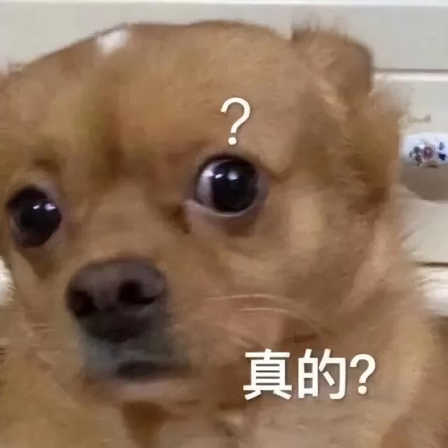 逗人开心的图片，高级文案幽默笑死人（一期看完就会开心的图片）