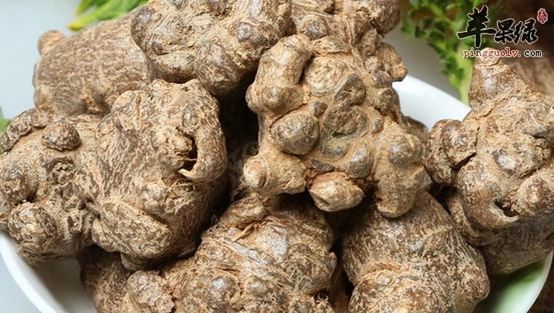 那么,如何鉴别土三七和三七?