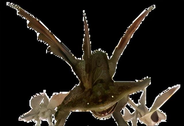 恐龙图片大全大图，画恐龙图片大全大图（画恐龙怎么画）