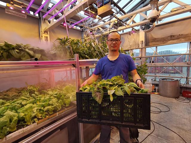 南极属于哪个国家，南极在哪个国家（距人类发现南极已有200多年）