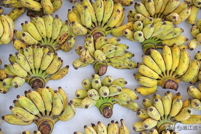 水稻什么时候打拿敌稳，水稻什么时候打拿敌稳最好（两病害稳“拿捏”）