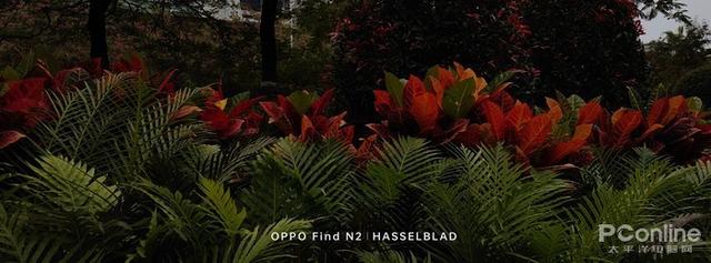 滤镜最好的手机排行，哈苏色彩为何如此讨喜