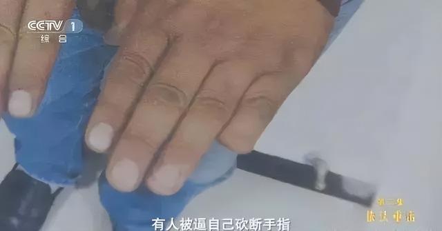 曲婉婷母亲案哪一年，贪官母亲急用钱减刑