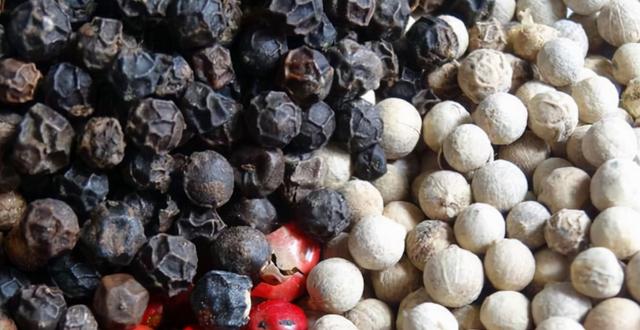 股票的由来，股票的由来与发展（但你不一定知道它的来历）