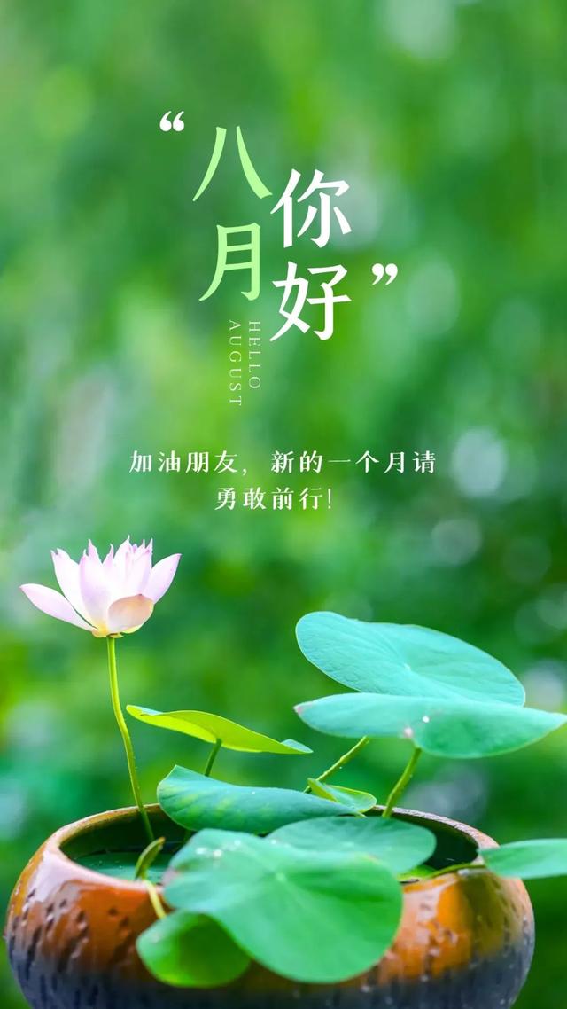 八一建军节发朋友圈，建军节文案（正能量经典语录）