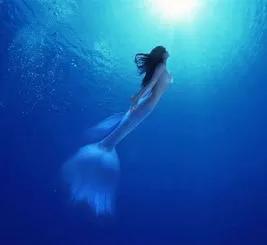 谐音梗是什么意思，有趣的网络谐音梗