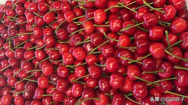 车厘子是不是樱桃，车厘子和樱桃是一样吗（车厘子和大樱桃傻傻分不清）