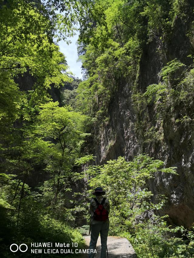 美丽的金丝峡景区，大秦岭的封面—金丝峽