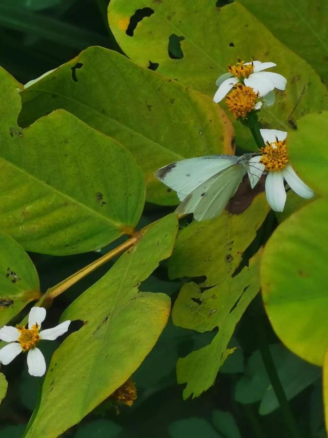 灵魂相似的人一旦相逢，灵魂相似的人一旦相逢是知心朋友（总有一天会在路上相逢）
