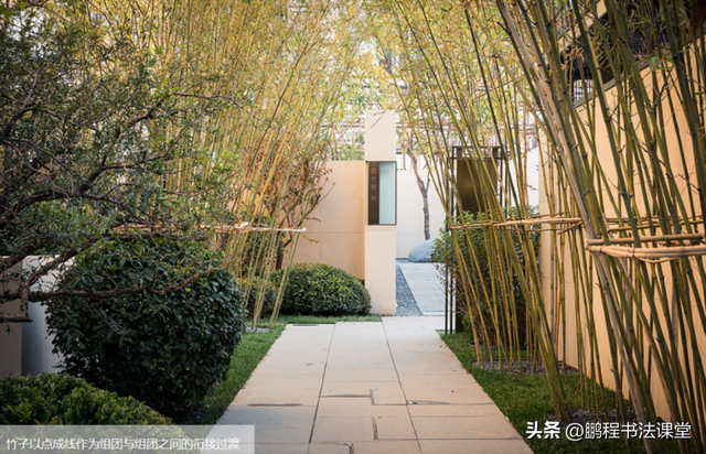梦见植物是什么征兆，干货丨植物寓意篇