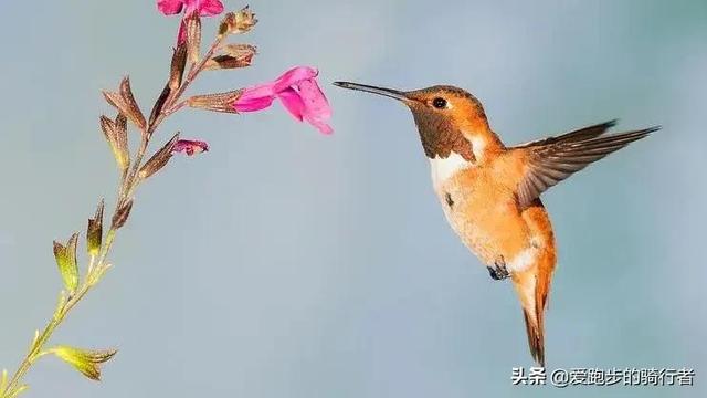 形容安静的句子，形容安静的唯美句子（让人安静的句子）