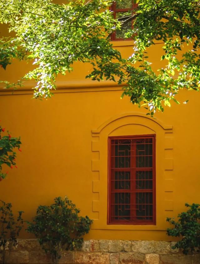 云南最好吃的野生菌在哪，中国最浪漫城市非她莫属