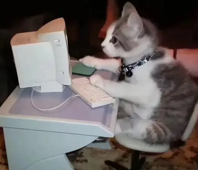 电脑桌面刷新有何作用啊，电脑屏幕刷新有什么用（电脑高手必须要掌握的技能）