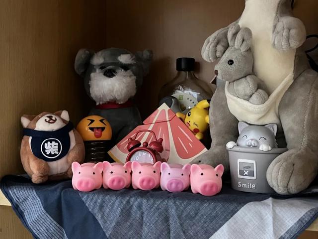 厦门大学宿舍，厦门大学宿舍几人间（一起提升宅寝幸福感）