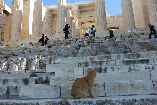 巴台农神庙，巴台农神庙那些曾经光彩照人的精美石刻（一生中一定要去的地方——雅典）