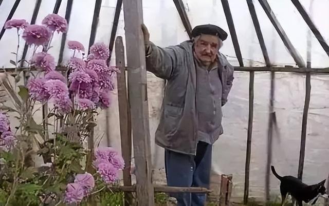 世界上最穷的总统，世界最穷总统排行（2020年因穷而出名的乌拉圭前总统退休）