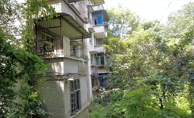 重庆市工业学校，重庆市工业学校2021招生简章（北碚这所中专校园荒废了13年还保留完好；30多年前比大学还吃香）