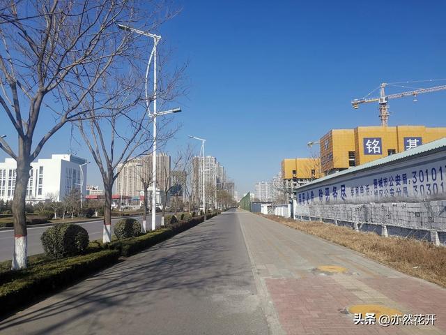 可行性研究报告编写，可行性的研究报告怎么写（职场写作：立项报告的写作技巧）