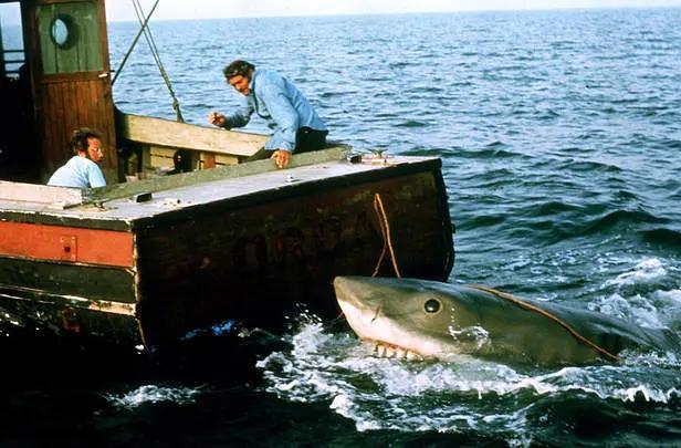 关于蛇的电影有哪几部，关于蛇的电影有哪几部分（评分最高十大怪兽电影）