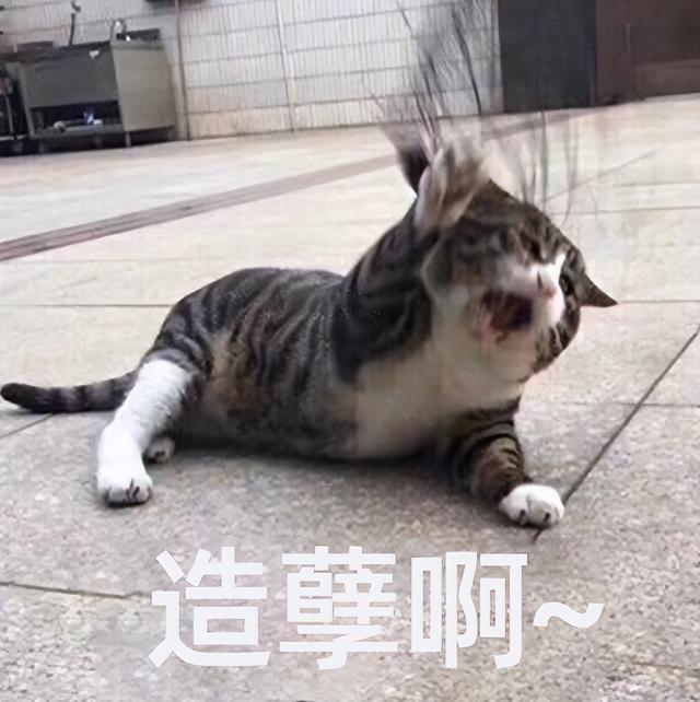 身体乳怎么用，不涂，皮肤有多大区别