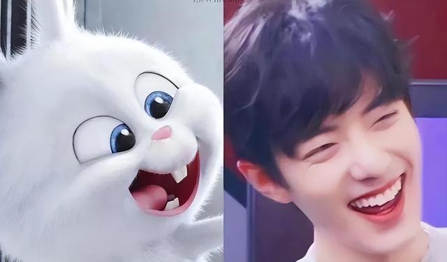 犬系男友和猫系男友有什么区别，什么是猫系男友什么是犬系男友（娱乐圈动物系男明星当道）