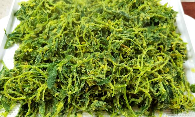 笤帚菜，这菜常被忽略（笤帚菜的样子）