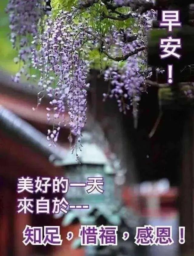 祝福两个人幸福的句子，两个人的祝福语（愿你快乐天长地久）