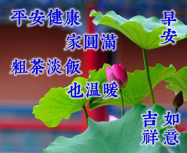 早晨的说说唯美句子，早晨充满正能量的句子（早安心语问候语录大全）