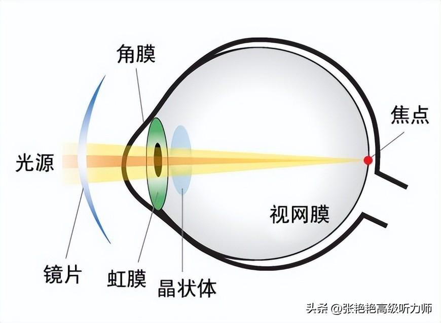 老人助听器大约要多少钱一个(单耳助听器多少钱一个)