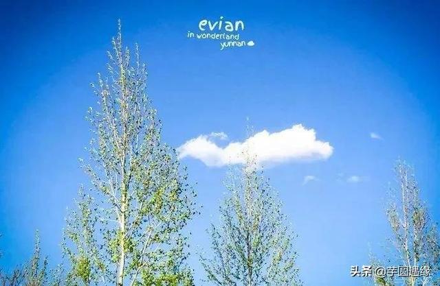 感谢暖人心的句子，温暖人心的感谢句子（温暖又治愈的句子）