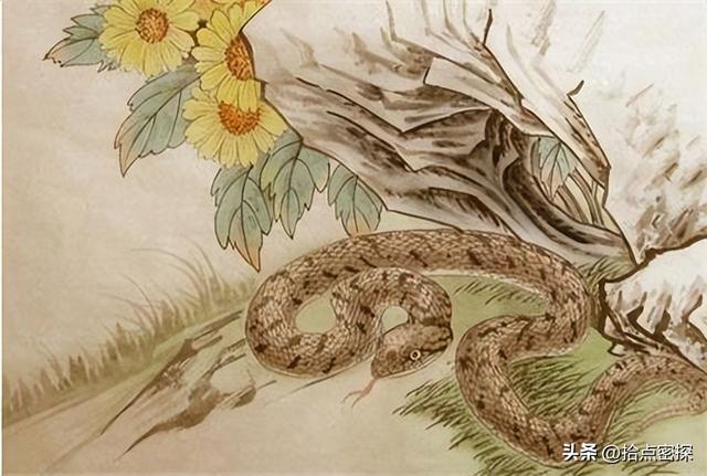 动物分为哪六大类，1000个动物名字（排列到底是按照什么顺序排列的）