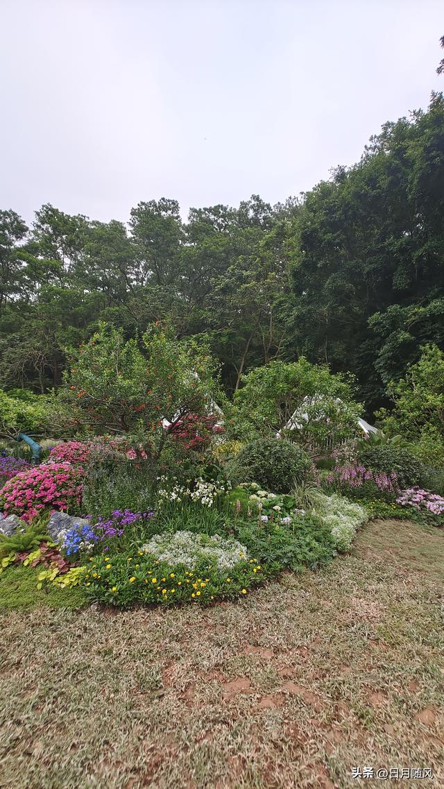 深圳市仙湖植物园，深圳仙湖植物园适合夏天逛吗（深圳仙湖植物园现场实拍图来了）