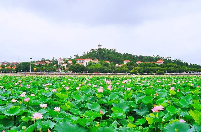 东莞旅游景点，东莞旅游景点免费（10大免费景点）