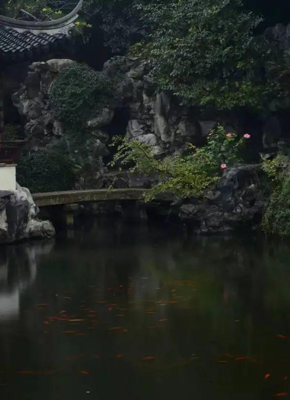 八雅八俗都是什么，八雅八俗都是什么东西（文人八雅，常寄幽情）