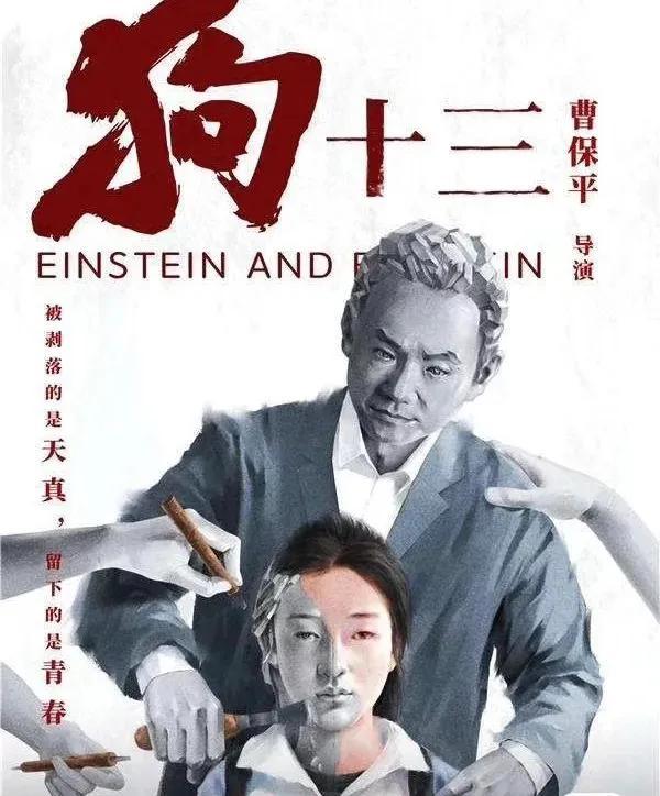 电影狗十三什么意思，电影狗十三名字的含义（《狗十三》一部极具教育意义的电影）