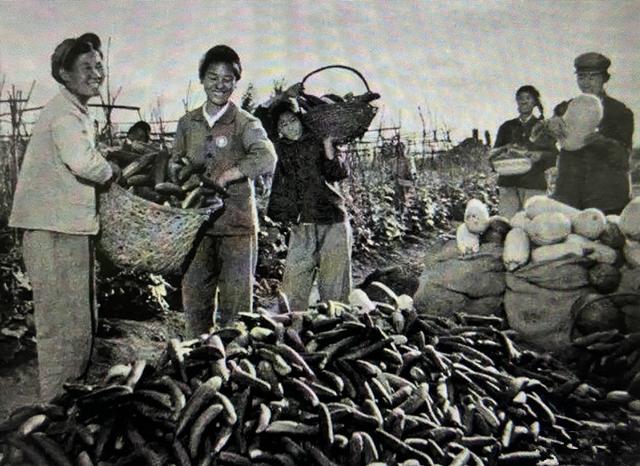 倔强的背后，倔强的背后就是执着（她留在北大荒嫁给了哑巴）