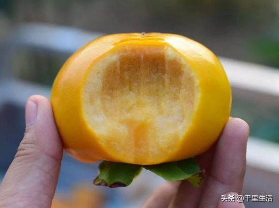 什么品种的脆柿子好吃，什么产地的脆柿子好吃（陕西巧克力糖心脆柿）