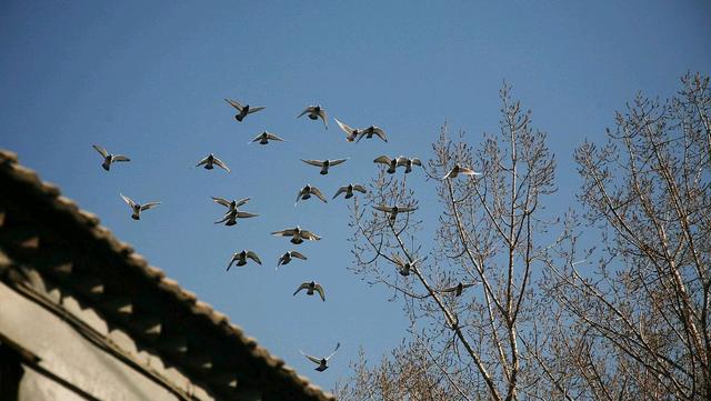 鬼害人会有什么下场，鬼为什么有在阳间害人（这世界还有什么比人更可怕的吗）