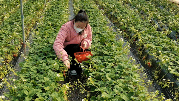 汉中旅游景点排名推荐，汉中旅游景点大全排名榜（在汉中一年四季可以这样玩 →）