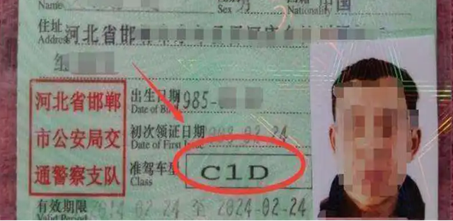 C1D驾驶证能开什么车，驾驶证c2能开什么车（C1驾照与D驾照合并后）