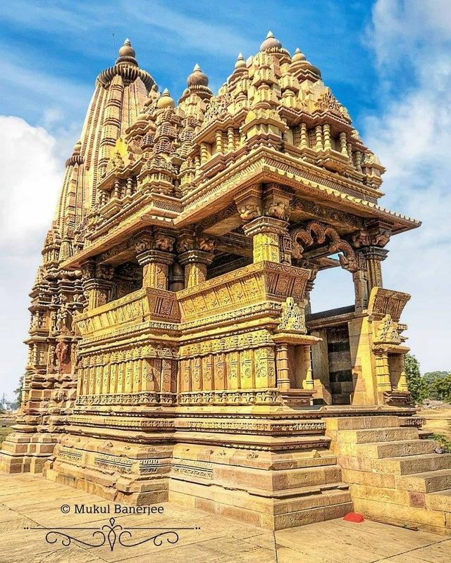 世界灭绝的动物名单，世界灭绝的动物名单网站（30张活久未见的照片）