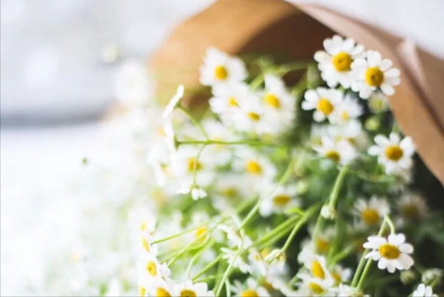 心机凤凰男的惯用伎俩，已婚男惯用这四大伎俩勾引未婚女（其娘家被榨干：凤凰男6大套路）