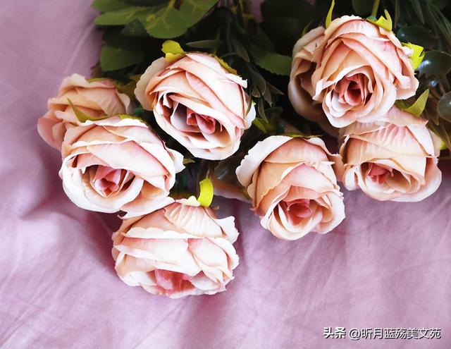 心疼关心一个人的句子，体谅和心疼对方的句子（秋凉了，写给最牵挂的你）