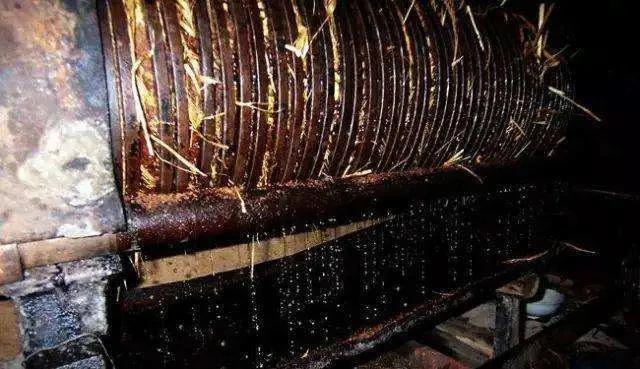 山茶油价格多少钱一斤，茶油多少钱一斤（还是现代工艺压榨的好）