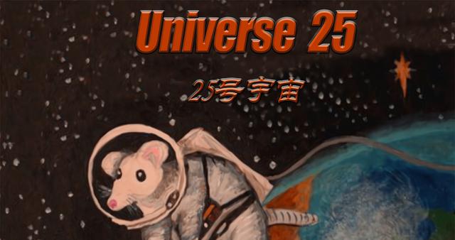 小白鼠多少钱一只，小白鼠（美国将8只白鼠放进“乐园”）